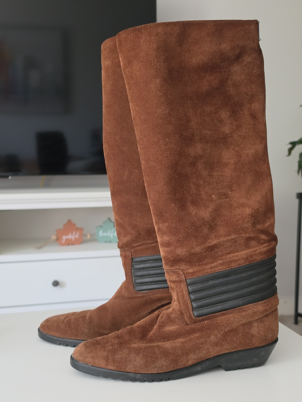 Raffaele Giardini Tall Suede Boots in Brown